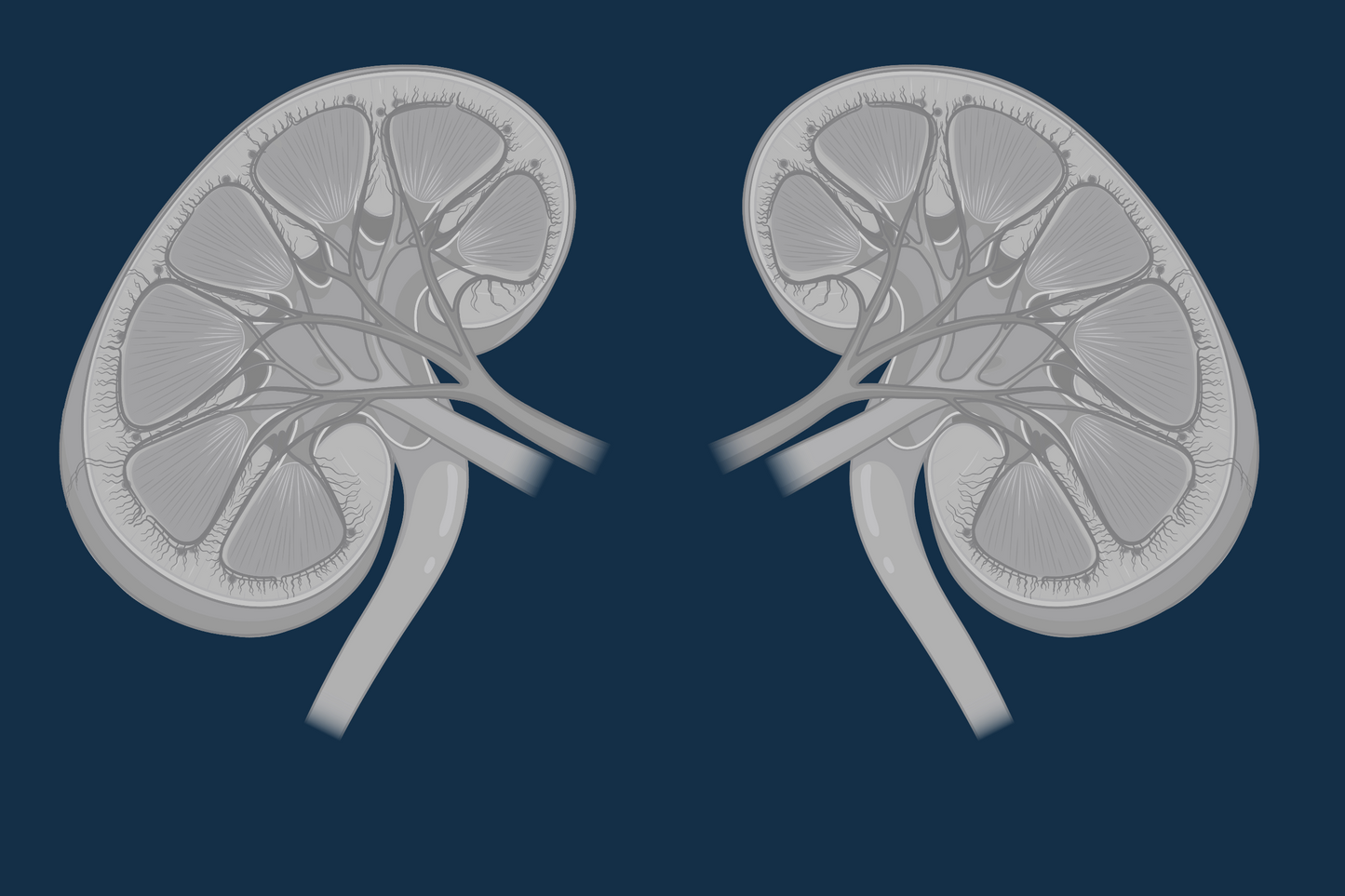 Renal Impairment