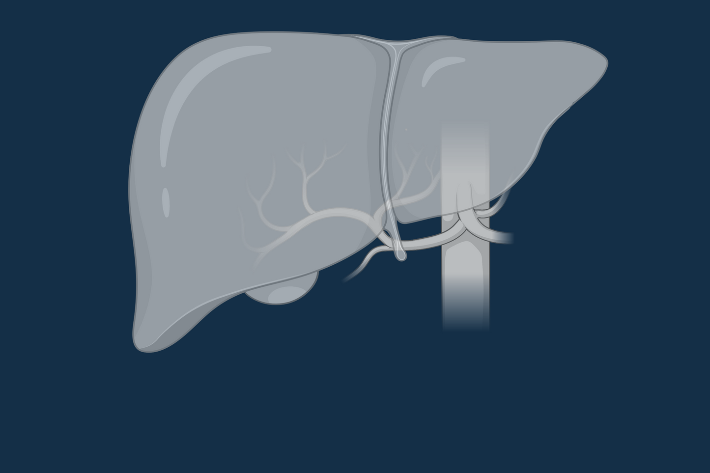 Hepatic Impairment