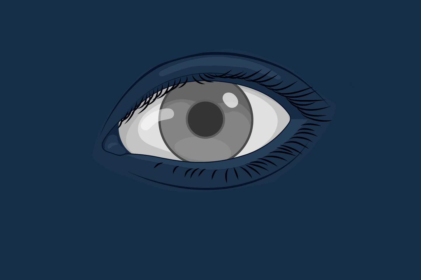 Observer