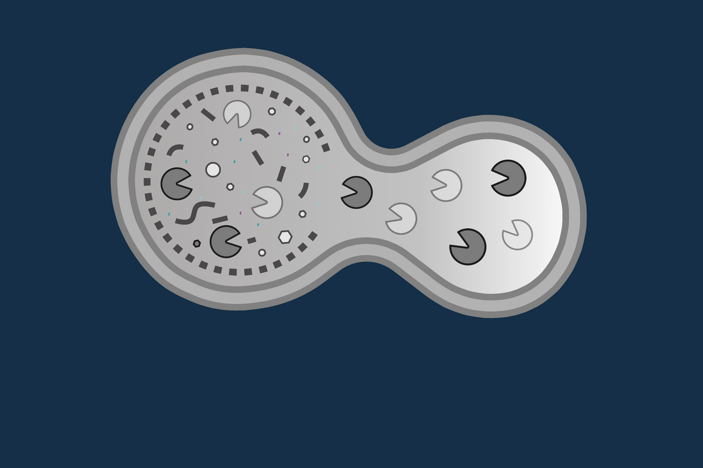 Lysosomal Trapping