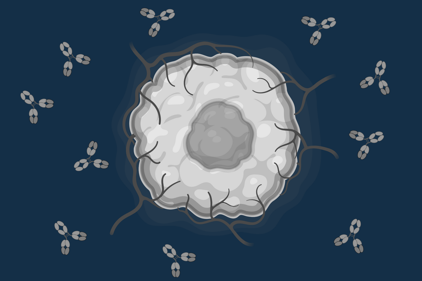 Antibody Therapy in Oncology