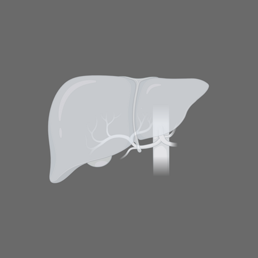 Hepatic Impairment