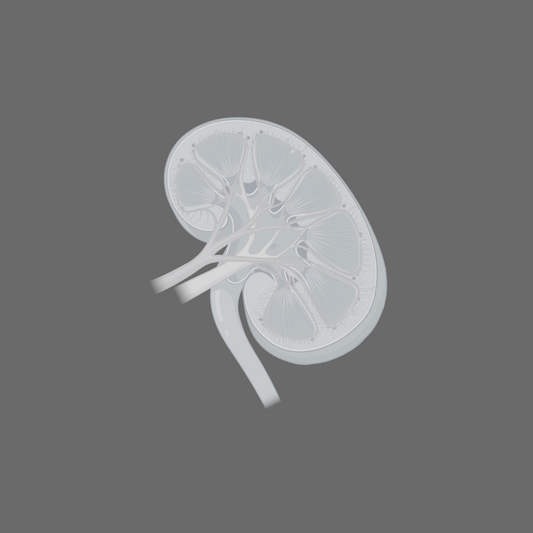 Renal Impairment