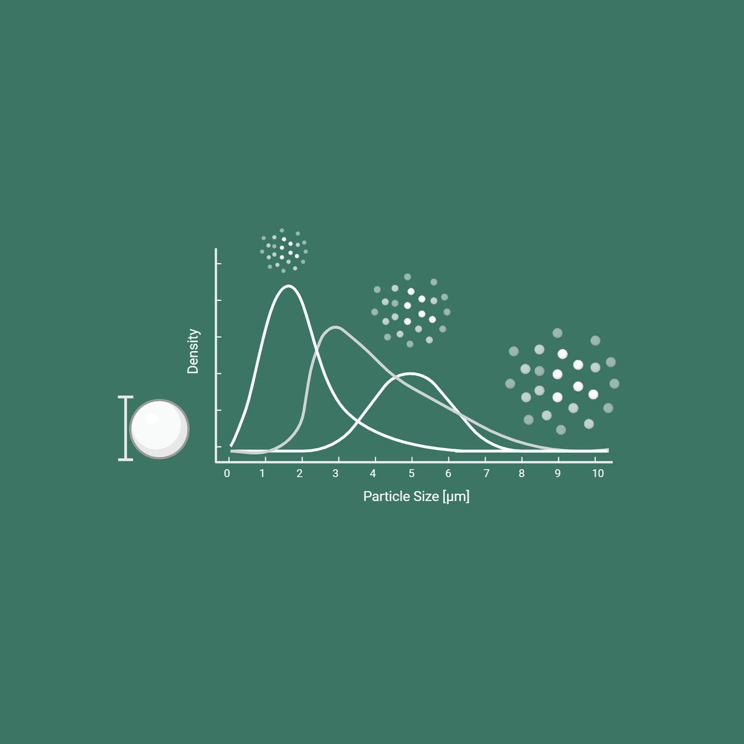 Particle Dissolution (Team)