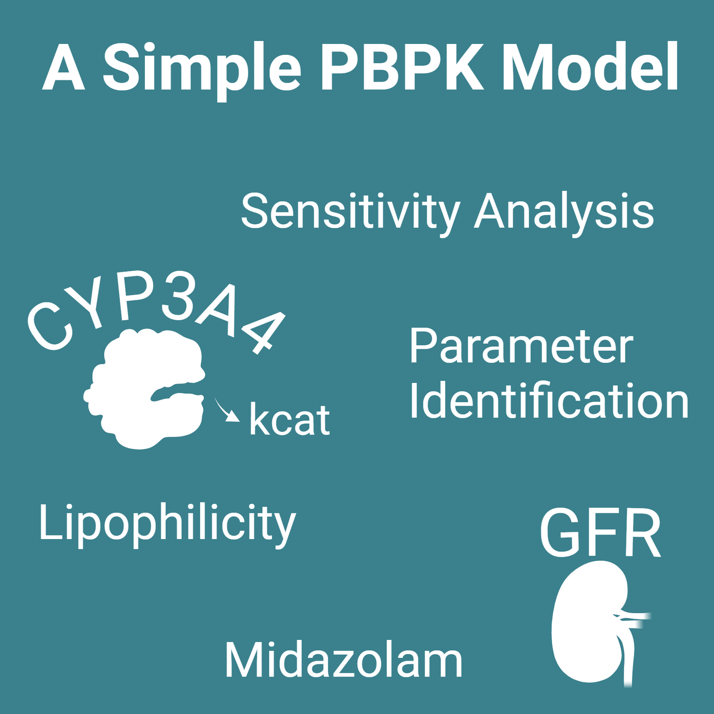 A Simple PBPK Model